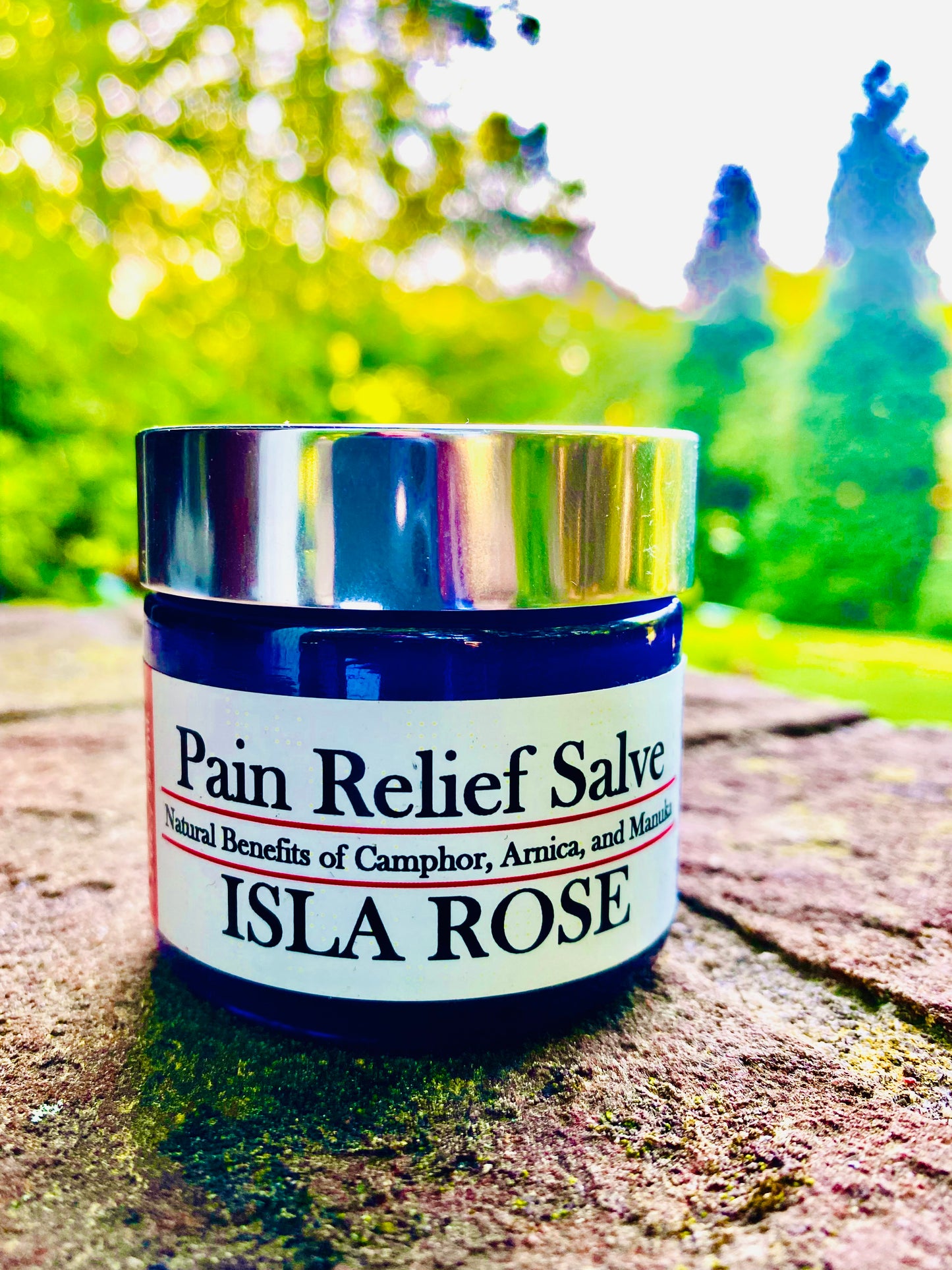 PAIN RELIEF SALVE (2 oz.)